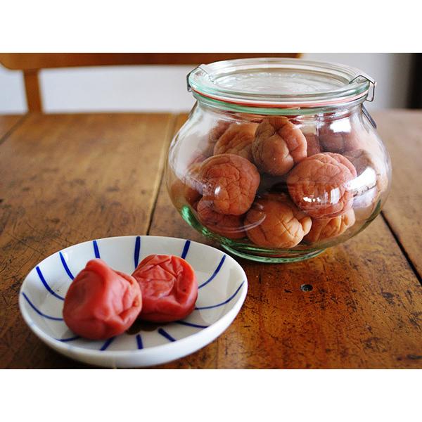 WECK（ウェック） デコシェイプ 1000ml WE-748 キャニスター 煮沸密閉