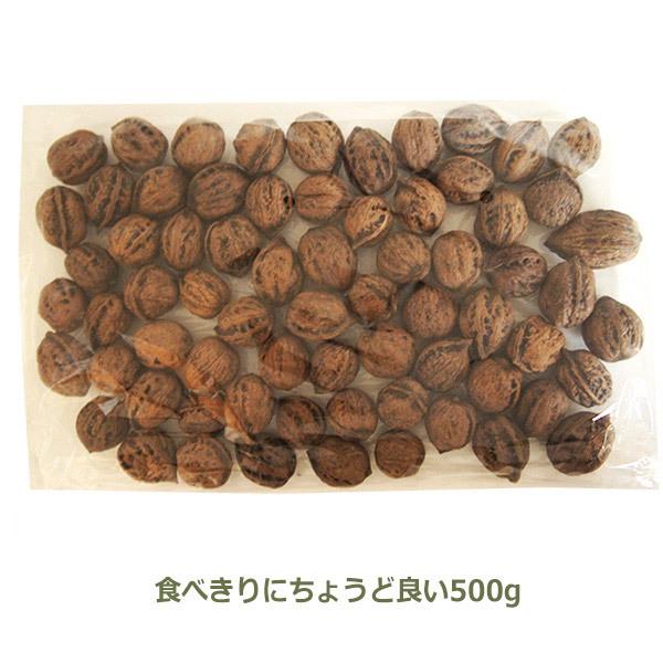 和くるみ 国産 殻付き 500g 鬼胡桃 オニグルミ くるみ割り器 ほじくる