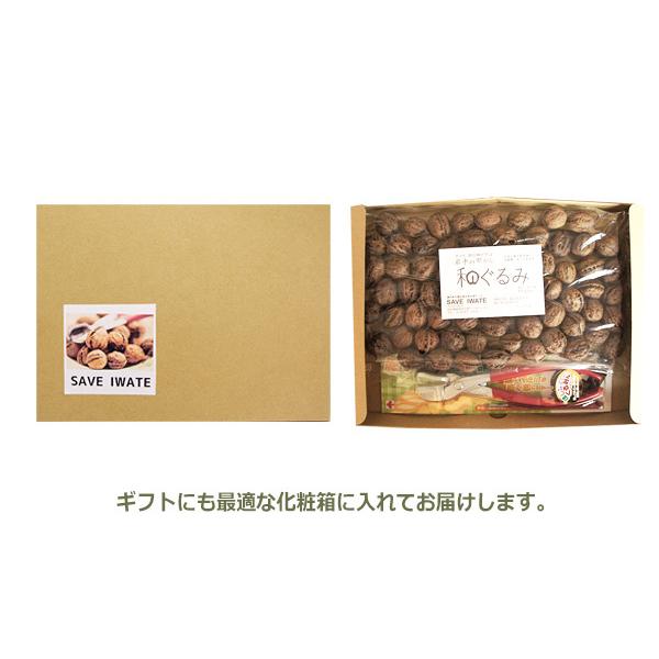 和くるみ 国産 殻付き 500g 鬼胡桃 オニグルミ くるみ割り器 ほじくる