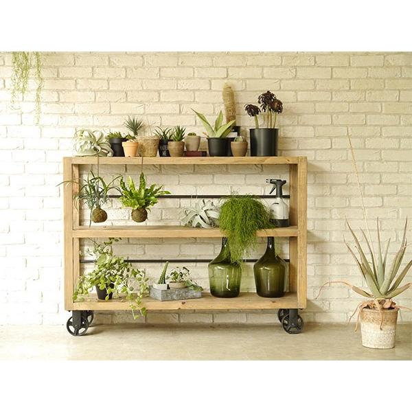 ミドルシェルフ　幅158cm ミドルシェルフ 幅158cm 【公式通販】