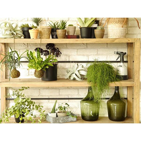 GMHK167○MOSH /モッシュ ムート オープンシェルフ オールドパイン MOSH ムート MUT シェルフ M ミドル ガルト GART 高さ1m 木製 オープン