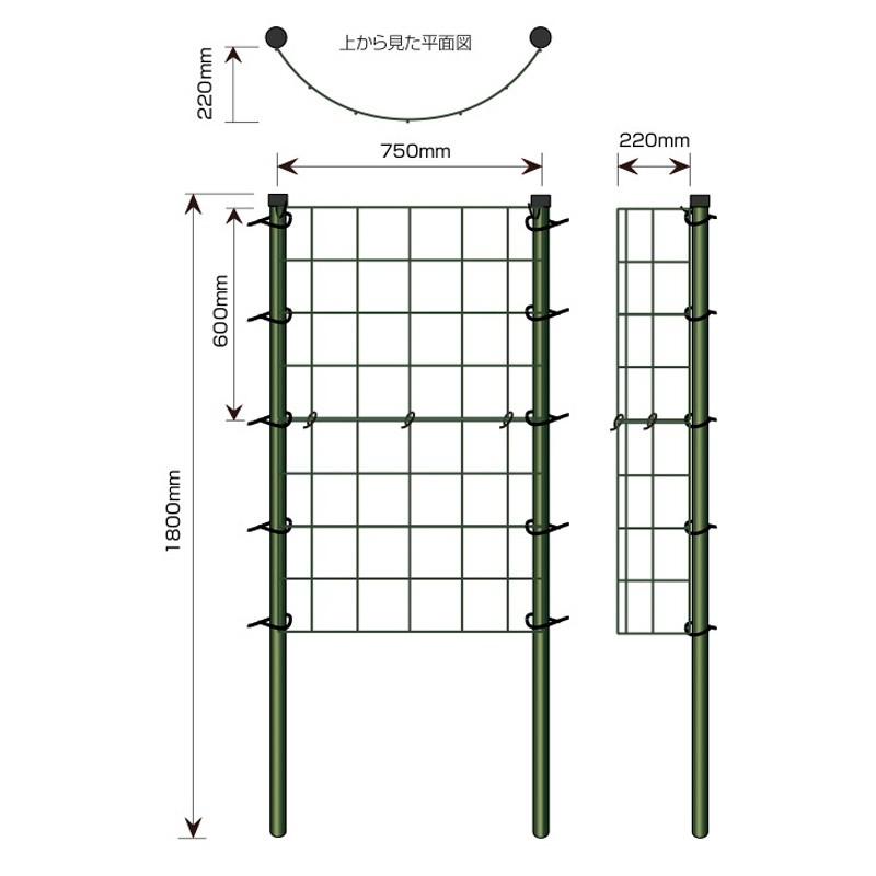 新品 ツル性 植物 用 フェンス カラマリーナ ハーフムーン ベーシック グリーンパネル 誘引パネル フェンス トレリス アイアン 格安 Www Thedailyspud Com