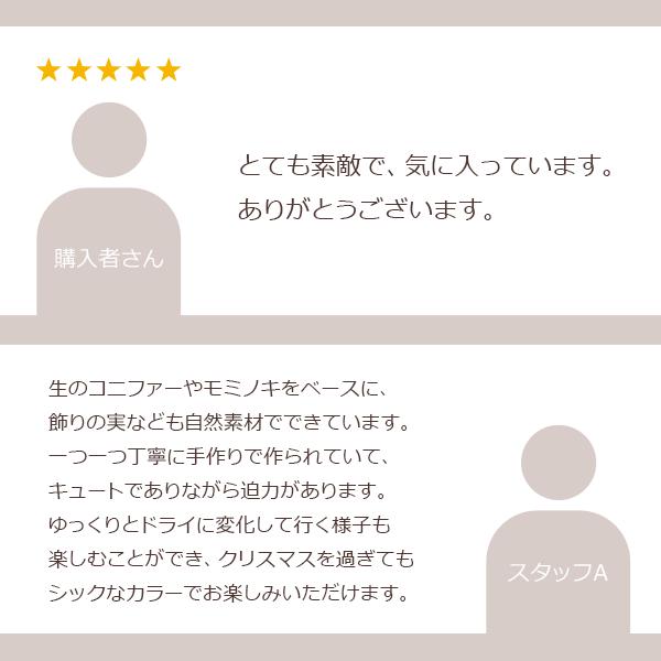 クリスマス リース 30cm ドライフルーツ 生リース モミの木 おしゃれ