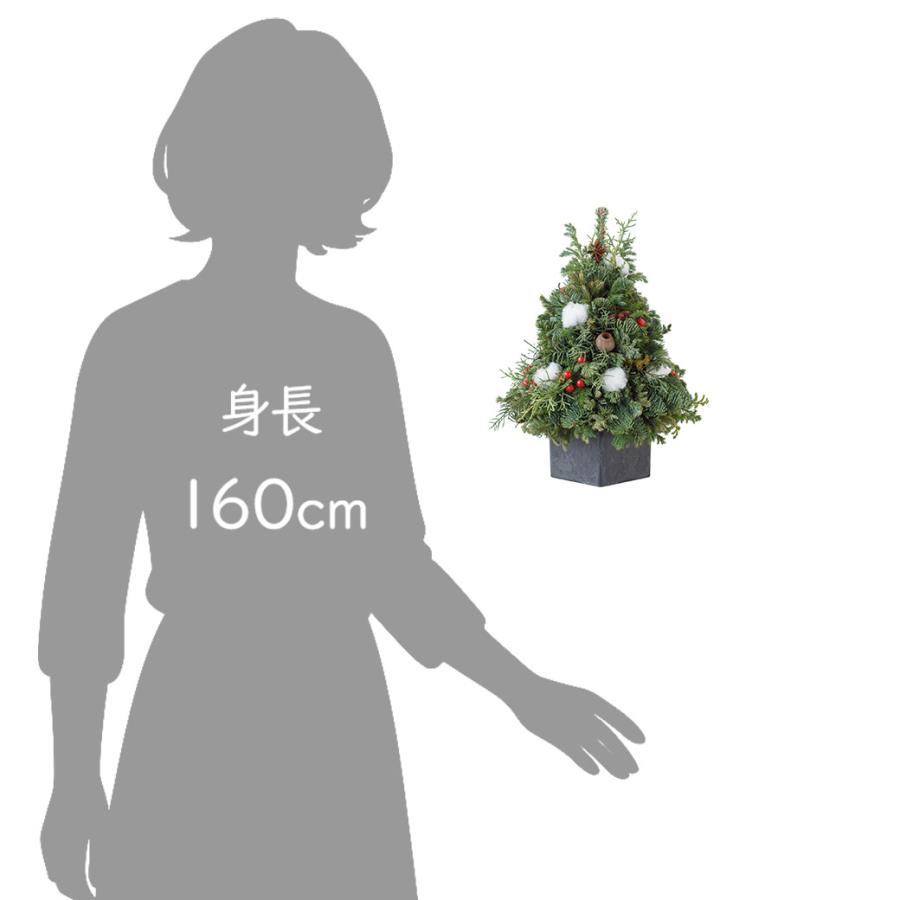 木製クリスマスツリー型装飾 約30cm クリスマス ツリー 30cm 卓上 ミニ 生ツリー おしゃれ かわいい モミの