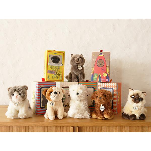 ぬいぐるみ 猫 犬 ギフト ボックス リアル 小さい Sサイズ