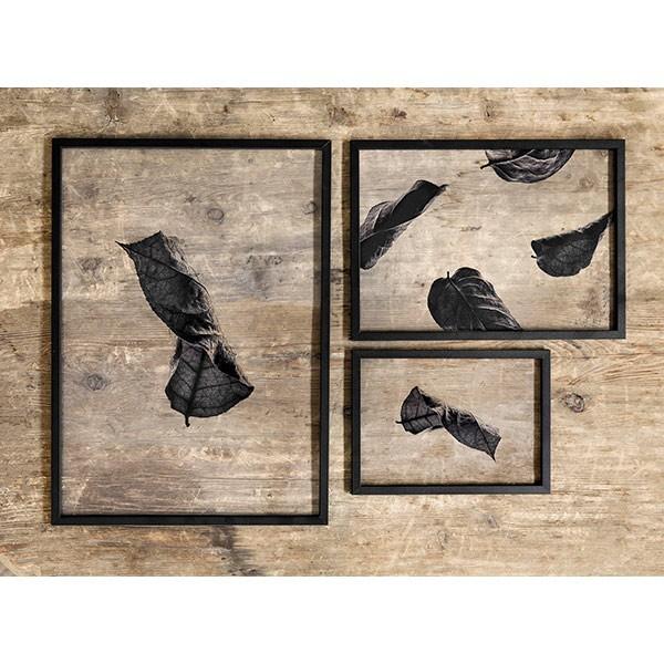 最終価格　actus ポスター Paper Collective 北欧 ikea Paper Collective | Composition 03 / FRAME OAK 50×70cm