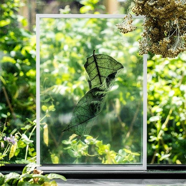 Paper Collective（ペーパーコレクティブ） ポスター アートポスター