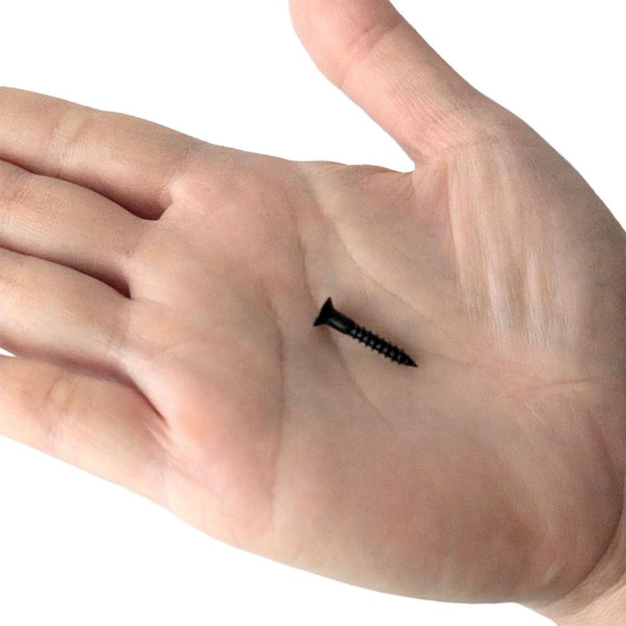 ネジ 皿木 ねじ 2cm 4本 セット 3.1×20 黒 ブラック 十字穴 + プラス