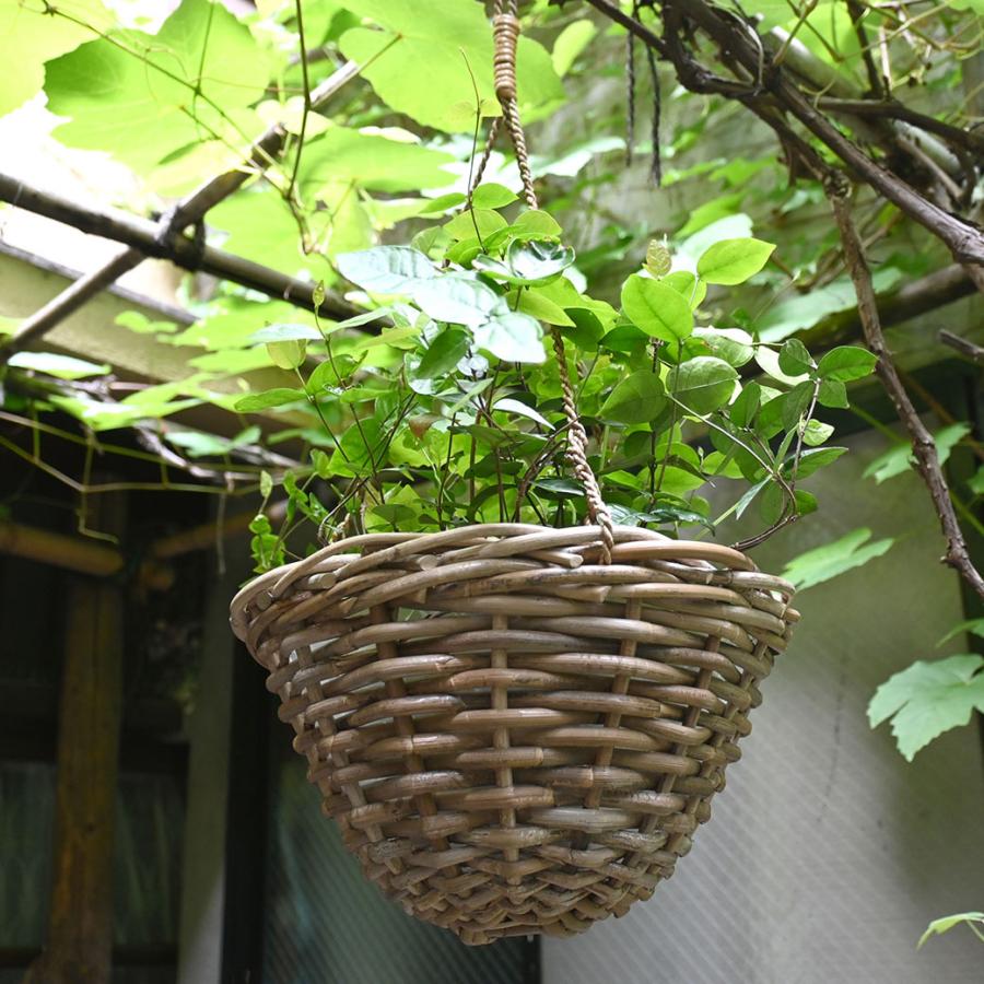 コボ ラタン ハンギング バスケット 30cm 観葉 植物 屋内 吊るす