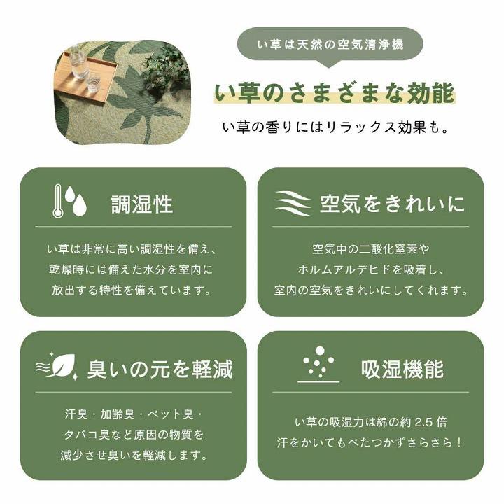 ラグ 正方形 い草 リーフ 自然素材 抗菌防臭 滑り止め不織布 ワイン 約