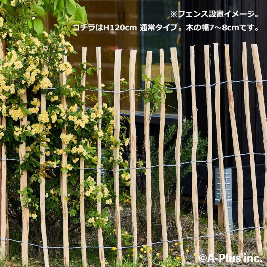 フェンス DIY 屋外 木製 H120cm 5m 幅狭 2本 セット ヘーゼルナッツ