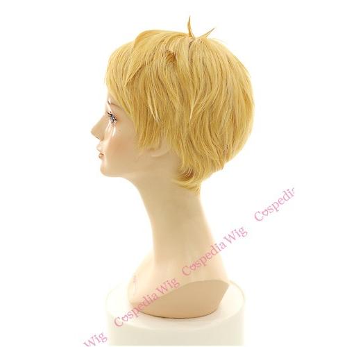 刀剣乱舞 博多藤四郎 風 ウィッグ コスプレウィッグ キャラウィッグ