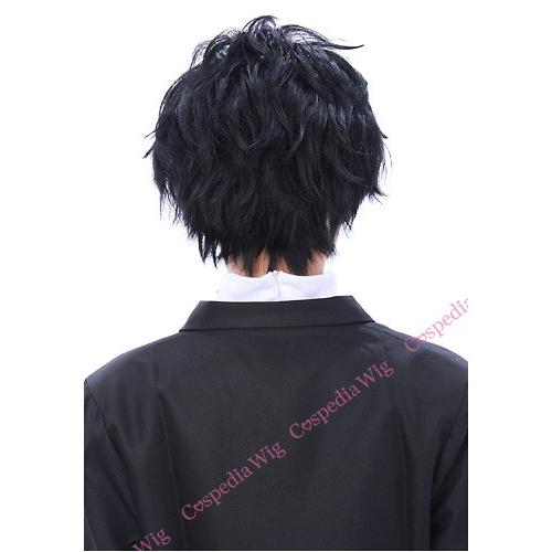 ペルソナ5 主人公 雨宮蓮 風 ウィッグ キャラウィッグ セット済み カット済み ウィッグネット付き 354 ヴィネットウィッグ 通販 Yahoo ショッピング