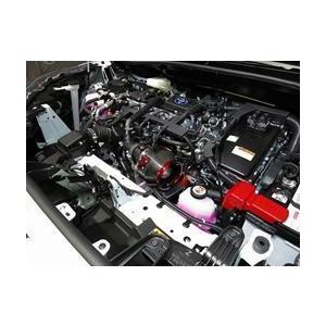 BLITZ 【BLITZ/ブリッツ】 CARBON POWER AIR CLEANER (カーボン BLITZ 【BLITZ/ブリッツ】 CARBON POWER AIR CLEANER (カーボン