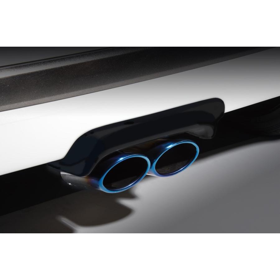 BLITZ（ブリッツ） 【BLITZ/ブリッツ】 AERO SPEED (エアロスピード) R