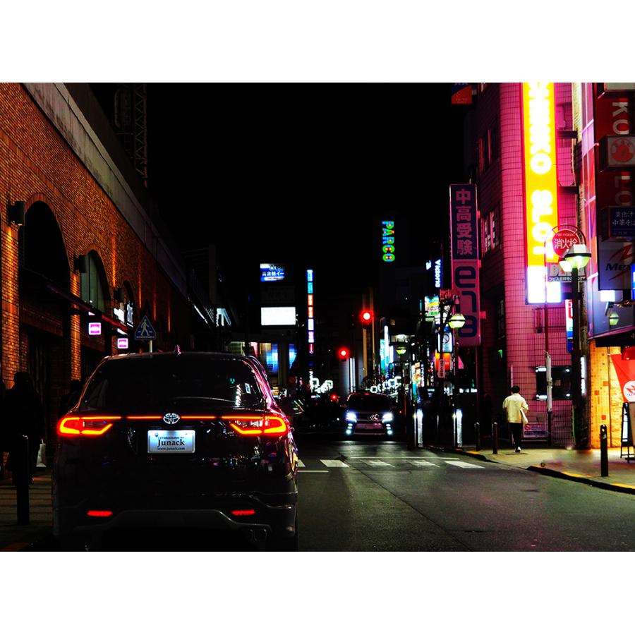 【Junack/ジュナック】 LEDZARD TC for 60HARRIER トヨタ 60ハリアー [LZR-TC-T1]の画像