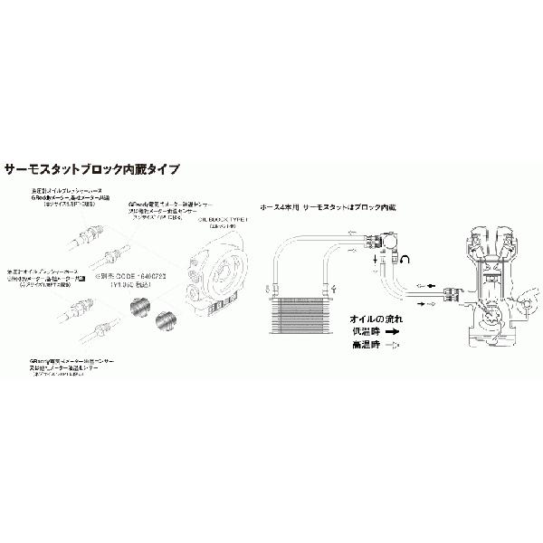 トラストGreddy汎用オイルクーラーキットエレメント移動タイプ M20XP1.5　HG1208G｜vigoras｜03