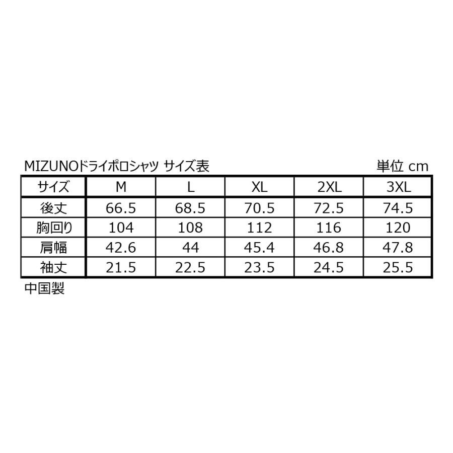 【BLITZ/ブリッツ】 BLITZ MIZUNO DRY Polo Shirt BLACK サイズ2XL [13663] | BLITZ | 01