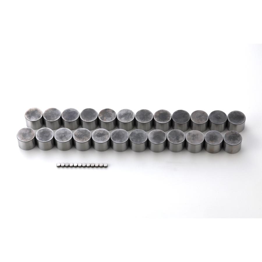 TOMEI POWERED 【TOMEI/東名】 バルブリフター VALVE LIFTER SET RB25