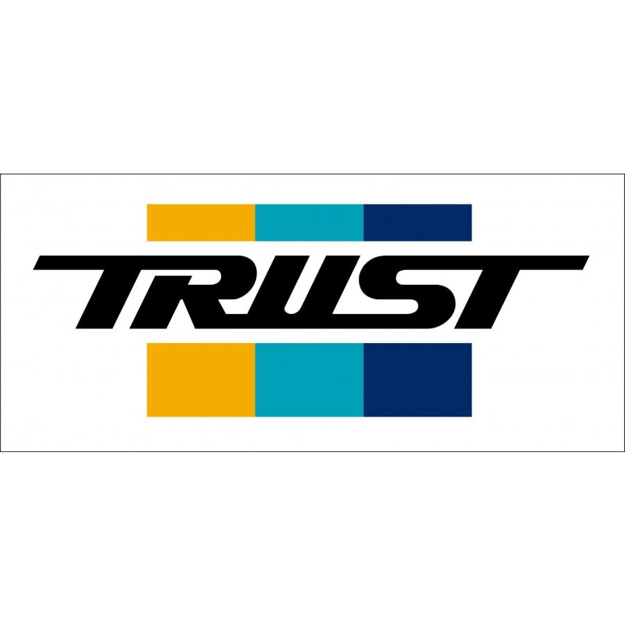 こちらは がりページです(_ _) ギャランティカード付 TRUST（トラスト） 【TRUST/トラスト】トラスト抜き文字ステッカー