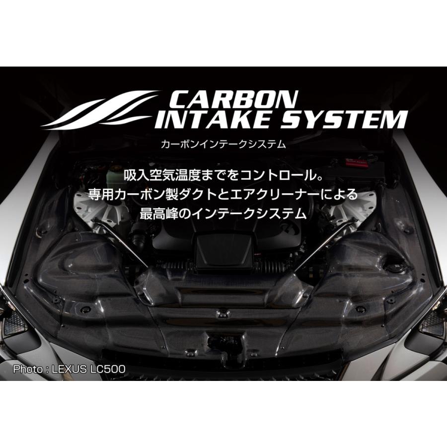 BLITZ（ブリッツ） 【BLITZ/ブリッツ】 CARBON INTAKE SYSTEM