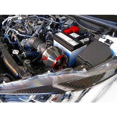 BLITZ 【BLITZ/ブリッツ】 CARBON POWER AIR CLEANER (カーボンパワー 