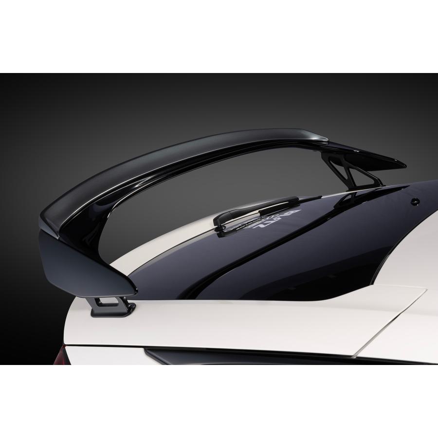 BLITZ（ブリッツ） 【BLITZ/ブリッツ】 AERO SPEED R-Concept for