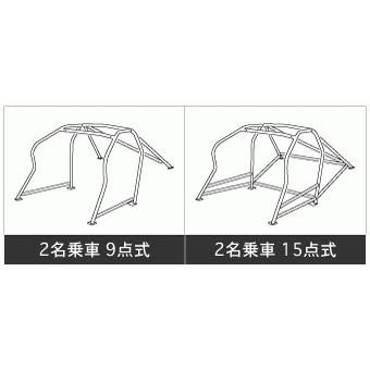 LAILE 【LAILE/レイル】 Beatrush ロールケージ φ40 2名乗車 9点式  