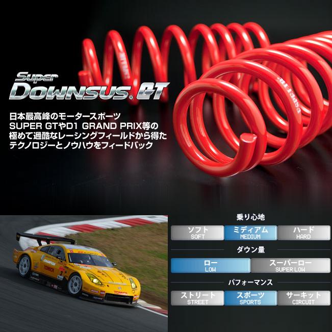 ESPELIR（エスペリア） 【ESPELIR/エスぺリア】 スーパーダウンサスGT