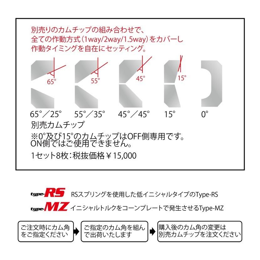 クスコ 【CUSCO/クスコ】 プロ・アジャストLSD type-RS フロント クスコ 【CUSCO/クスコ】 プロ・アジャストLSD type-RS フロント