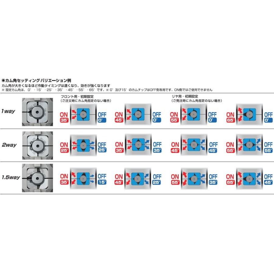 クスコ（CUSCO） 【CUSCO/クスコ】 プロ・アジャストLSD type-MZ MT車