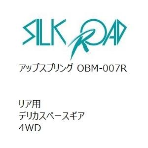 【SilkRoad/シルクロード】 アップスプリング リア ミツビシ デリカスペースギア 4WD [OBM-007R]