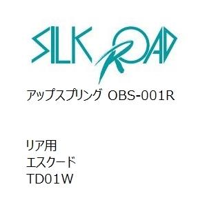 【SilkRoad/シルクロード】 アップスプリング リア スズキ エスクード TD01W [OBS-001R]