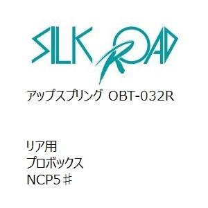 【SilkRoad/シルクロード】 アップスプリング リア トヨタ プロボックス NCP5♯ [OBT-032R]