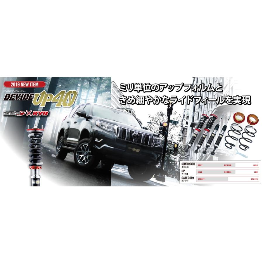 【TANABE/タナベ】 車高調 DEVIDE UP40 ミツビシ デリカD：5 CV5W 2007/01~2019/12 [UP40CV5WK]の画像