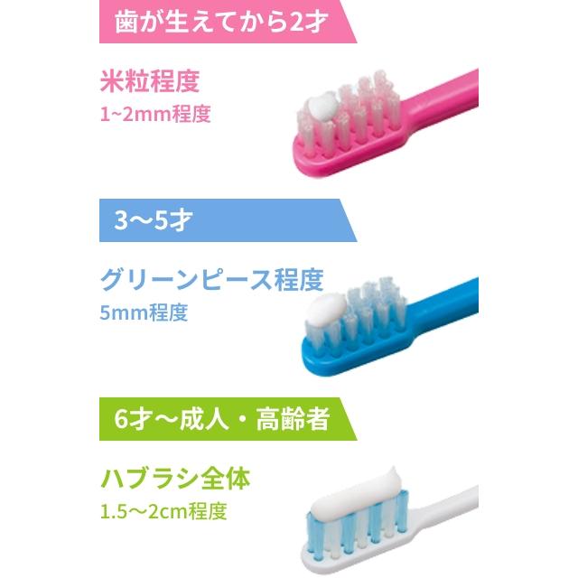 チェックアップ LION ライオン デント こども kodomo 60g × 10本