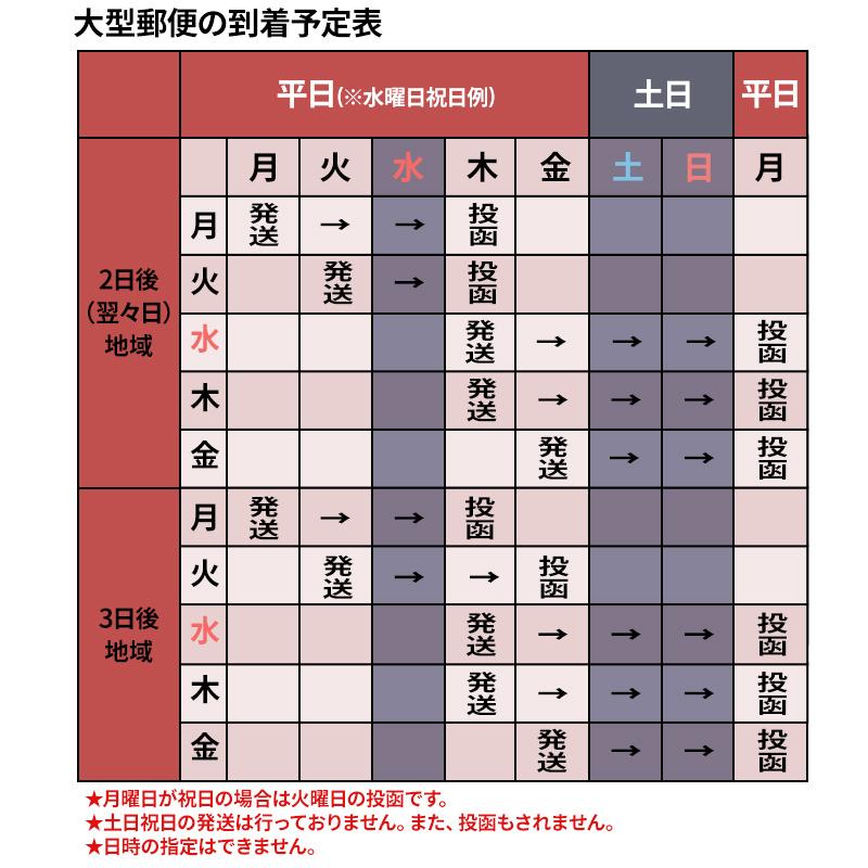 フロアフロス 250m 【本体250ｍ＋詰め替え用250ｍ】 オーラルケア　ワックス付き  ◎郵便配送一律350円おひとり様1点限り｜vigzackjapan｜05