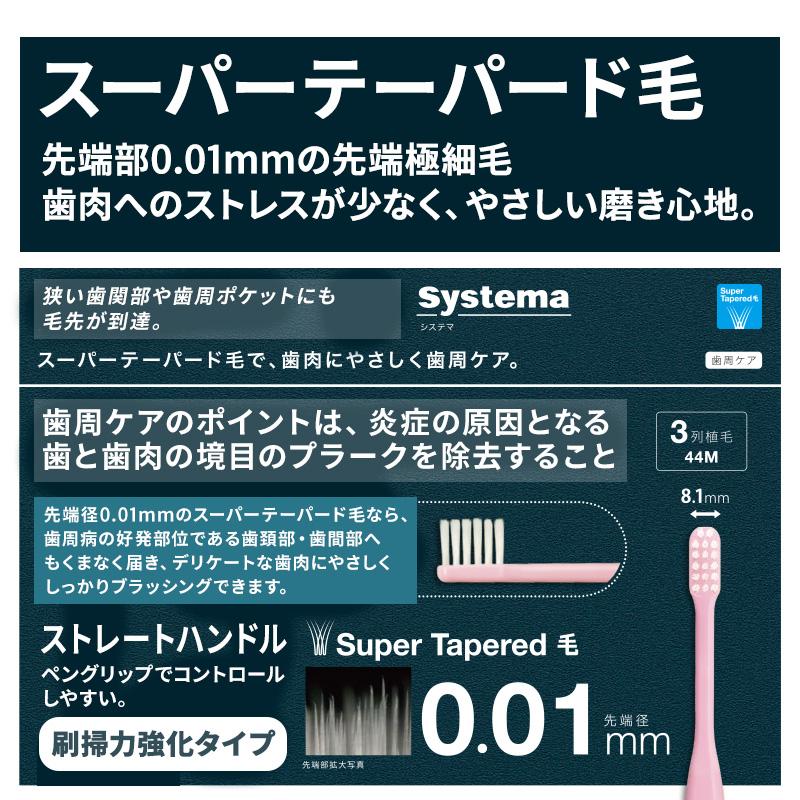 ライオン DENT EX システマ systema 歯ブラシ ×10本 ＜ヘッドが選べる＞44M(コンパクト ふつう) 42M(レギュラー ふつう)｜vigzackjapan｜02