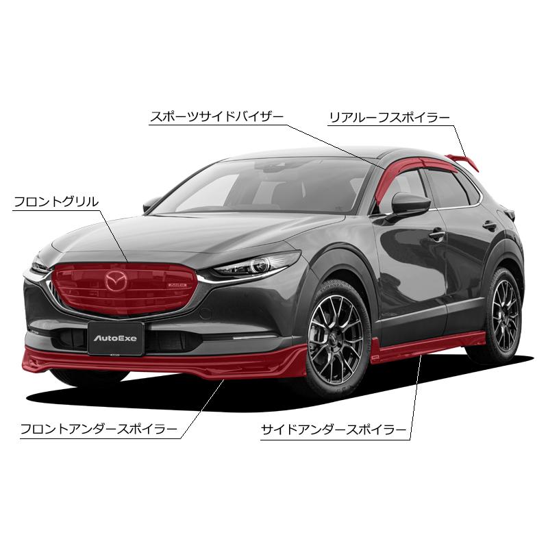オートエクゼ 【AutoExe/オートエグゼ】 DM-06 スタイリングキット