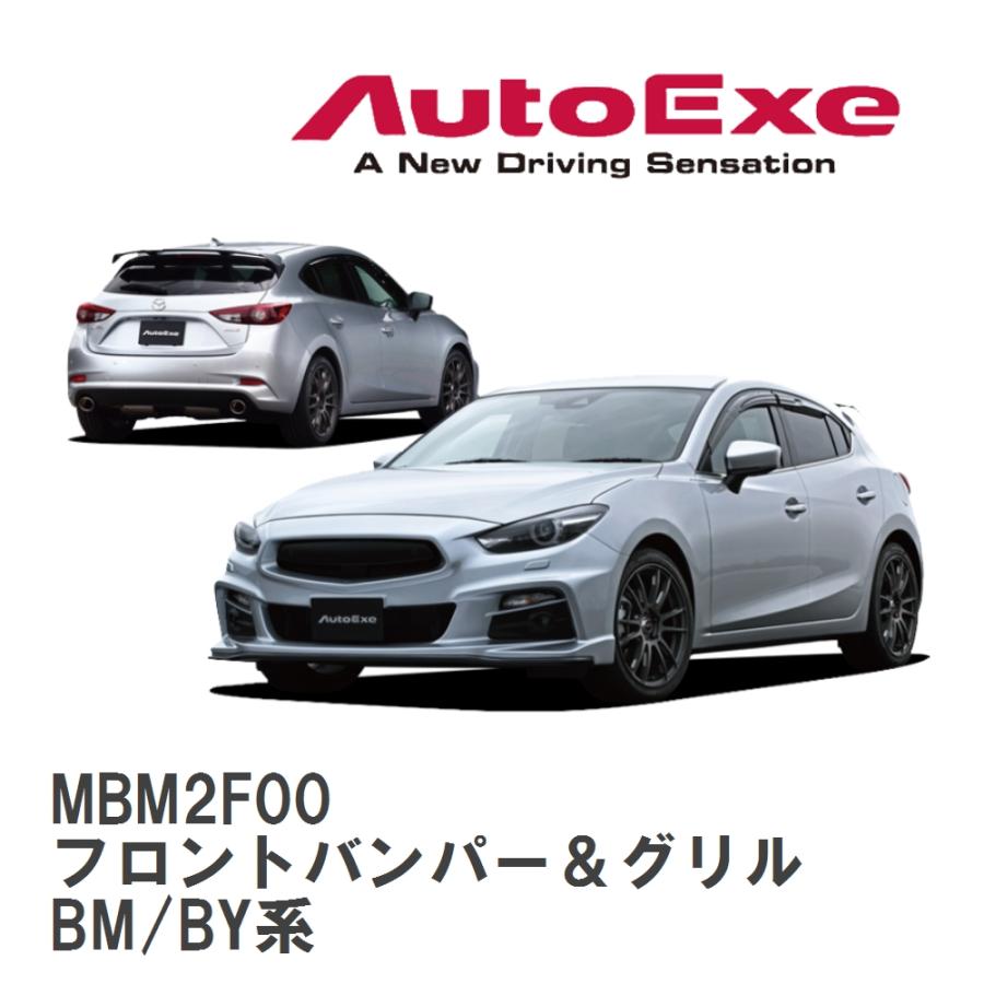 オートエクゼ 【AutoExe/オートエグゼ】 BM-05S スタイリングキット