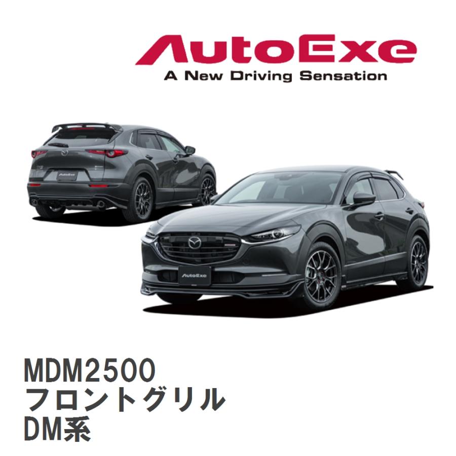 オートエクゼ 【AutoExe/オートエグゼ】 DM-06 スタイリングキット