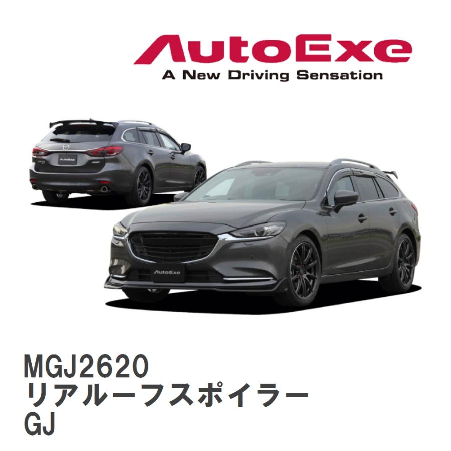 オートエクゼ 【AutoExe/オートエグゼ】 GJ-06 スタイリングキット
