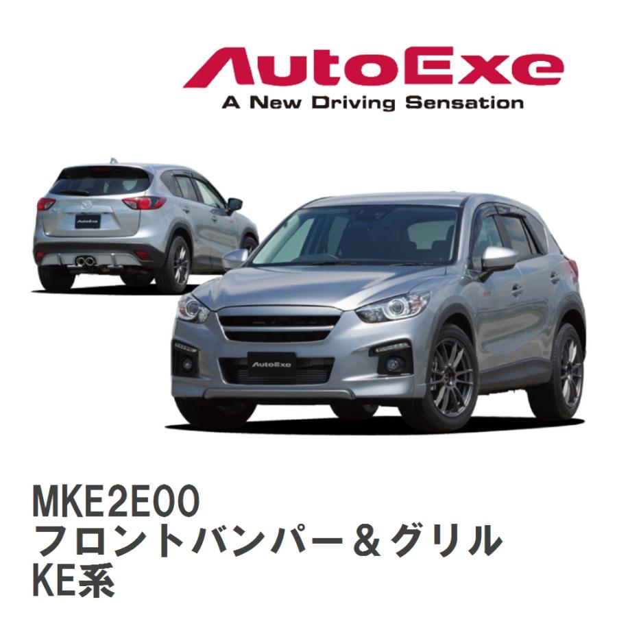オートエクゼ 【AutoExe/オートエグゼ】 KE-04 スタイリングキット