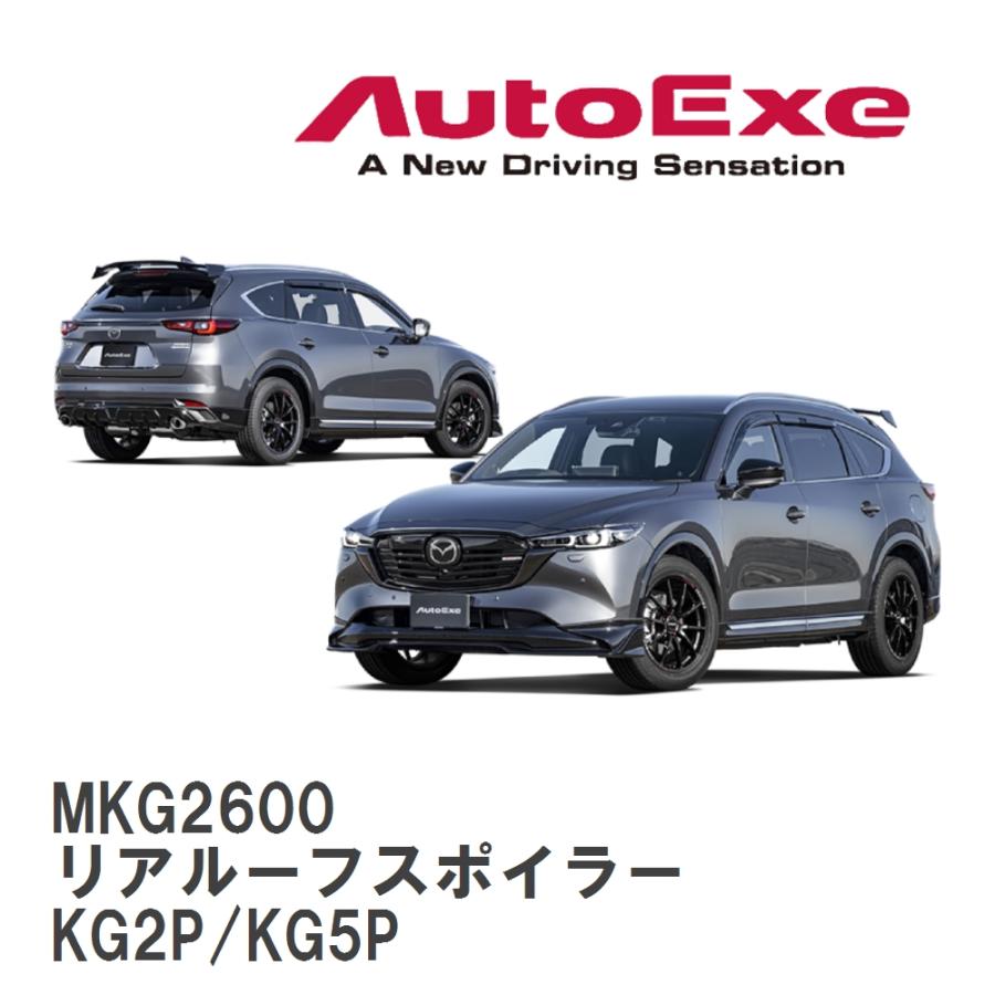 オートエクゼ 【AutoExe/オートエグゼ】 KG-07 スタイリングキット