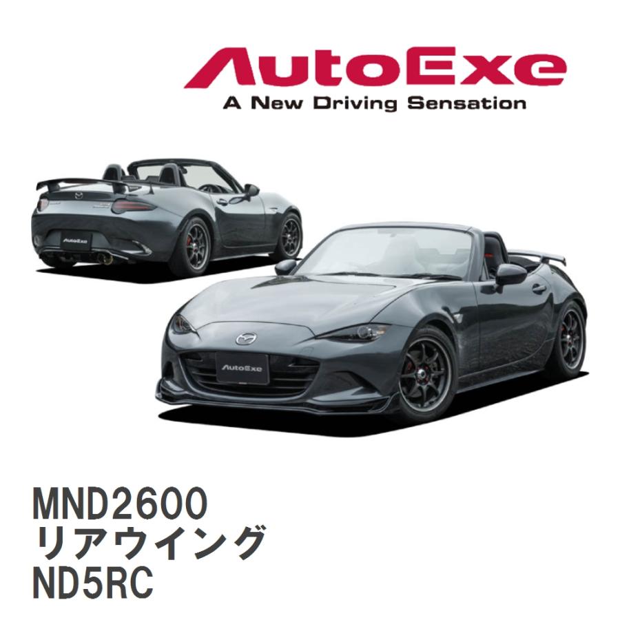 オートエクゼ 【AutoExe/オートエグゼ】 ND-06S スタイリングキット