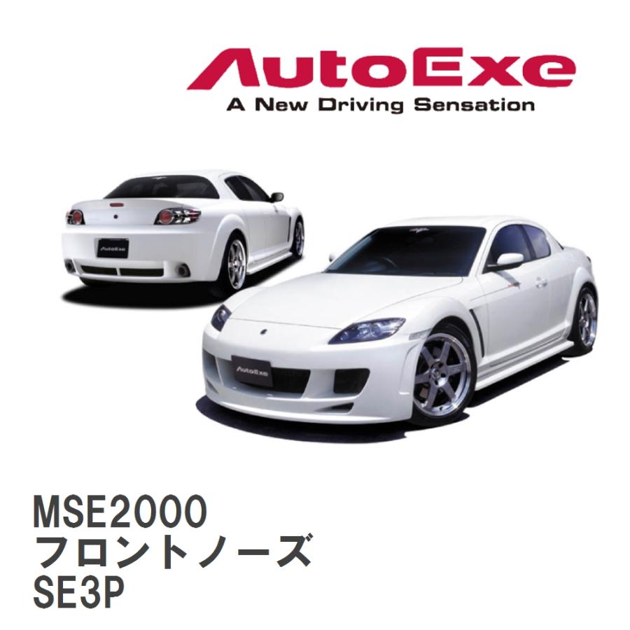 オートエクゼ 【AutoExe/オートエグゼ】 SE-02 スタイリングキット