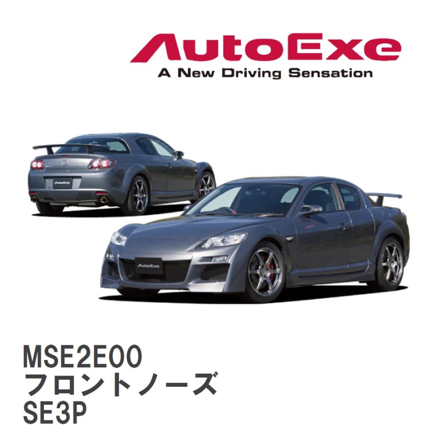 オートエクゼ 【AutoExe/オートエグゼ】 SE-04 スタイリング