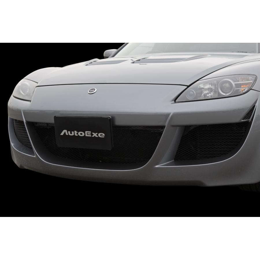 オートエクゼ 【AutoExe/オートエグゼ】 SE-03 スタイリングキット