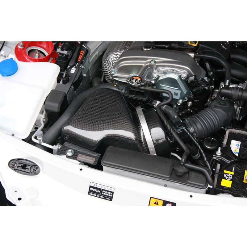 オートエクゼ 【AutoExe/オートエグゼ】 ラムエアインテークシステム