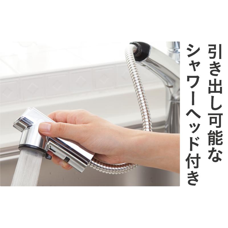 ゼンケン アクアホーム(複合水栓) 浄水器 ビルトイン型【PFOS/PFOA除去 